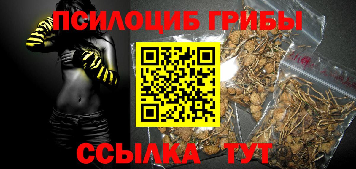 Галлюциногенные грибы мухоморы Майский